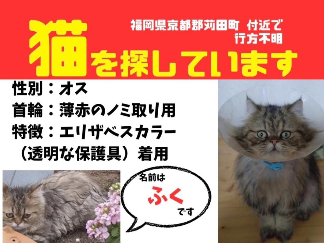 ふくちゃん ふくちゃん
