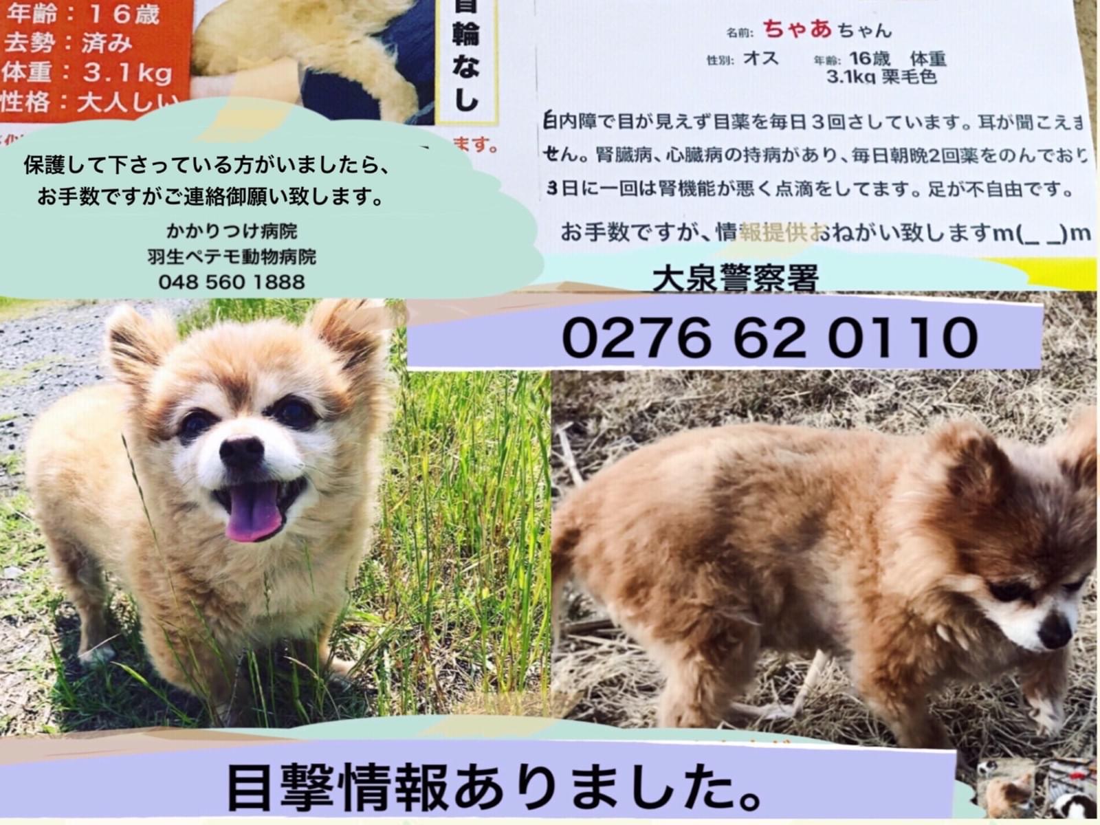 ちゃあちゃん ちゃあちゃん
