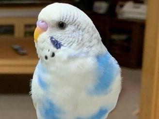 ソラちゃん ソラちゃん