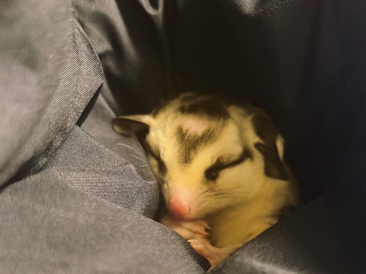 まるちゃん まるちゃん