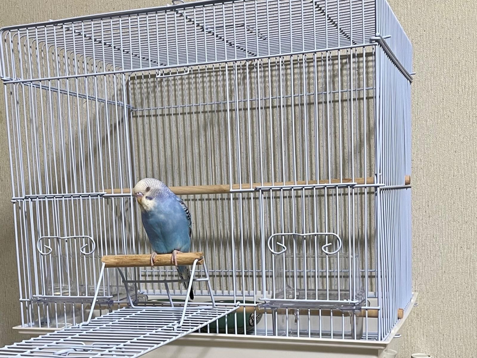 そらちゃん そらちゃん