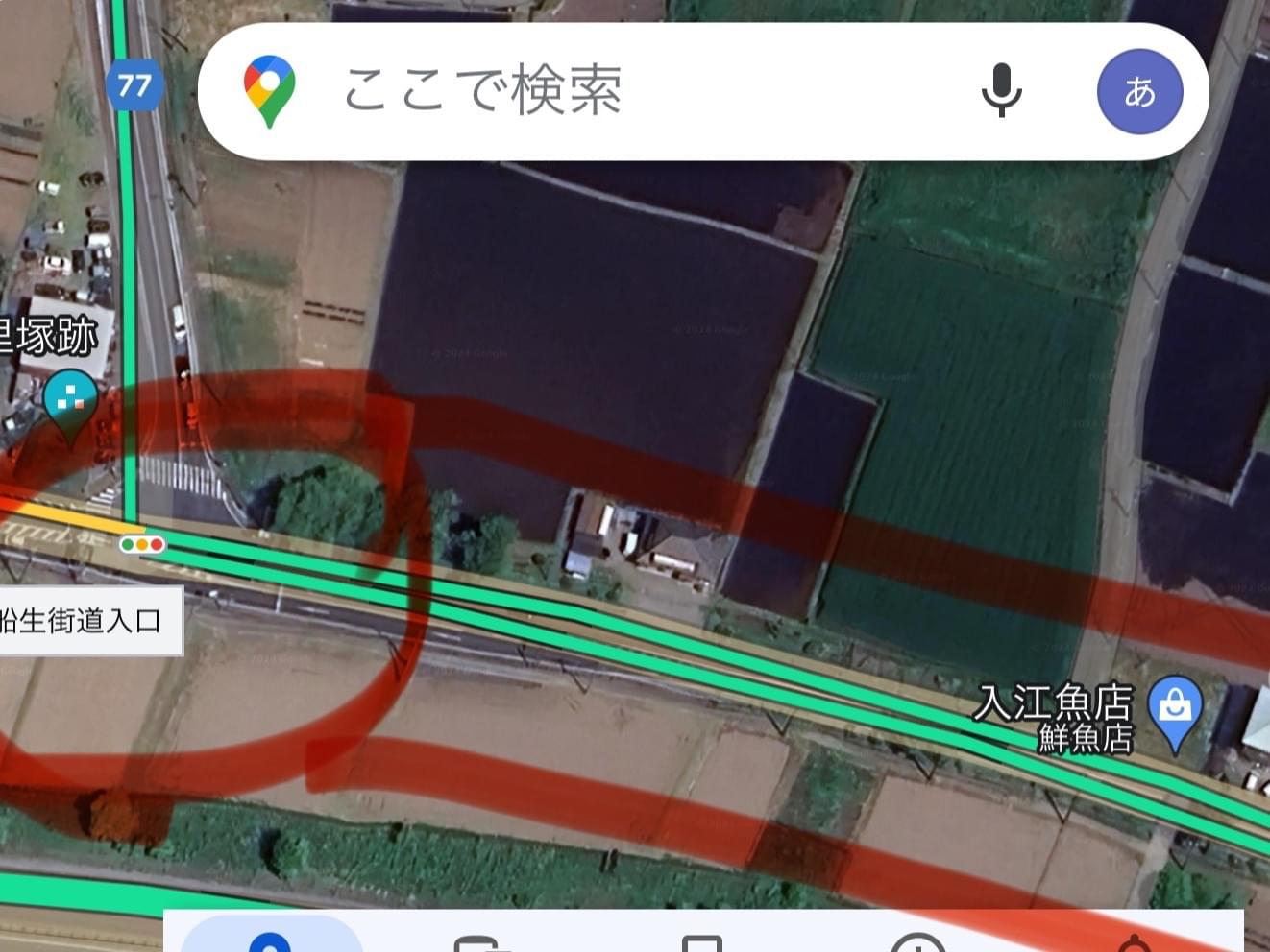 目撃された犬 目撃された犬