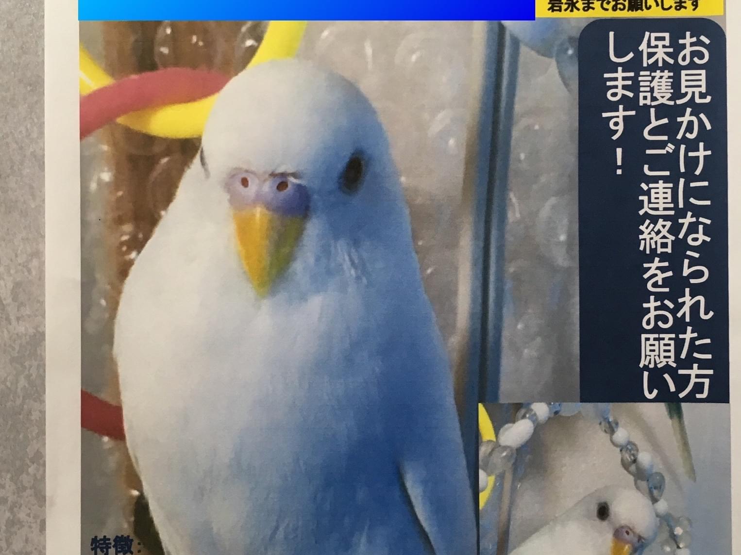 ミルクちゃん ミルクちゃん
