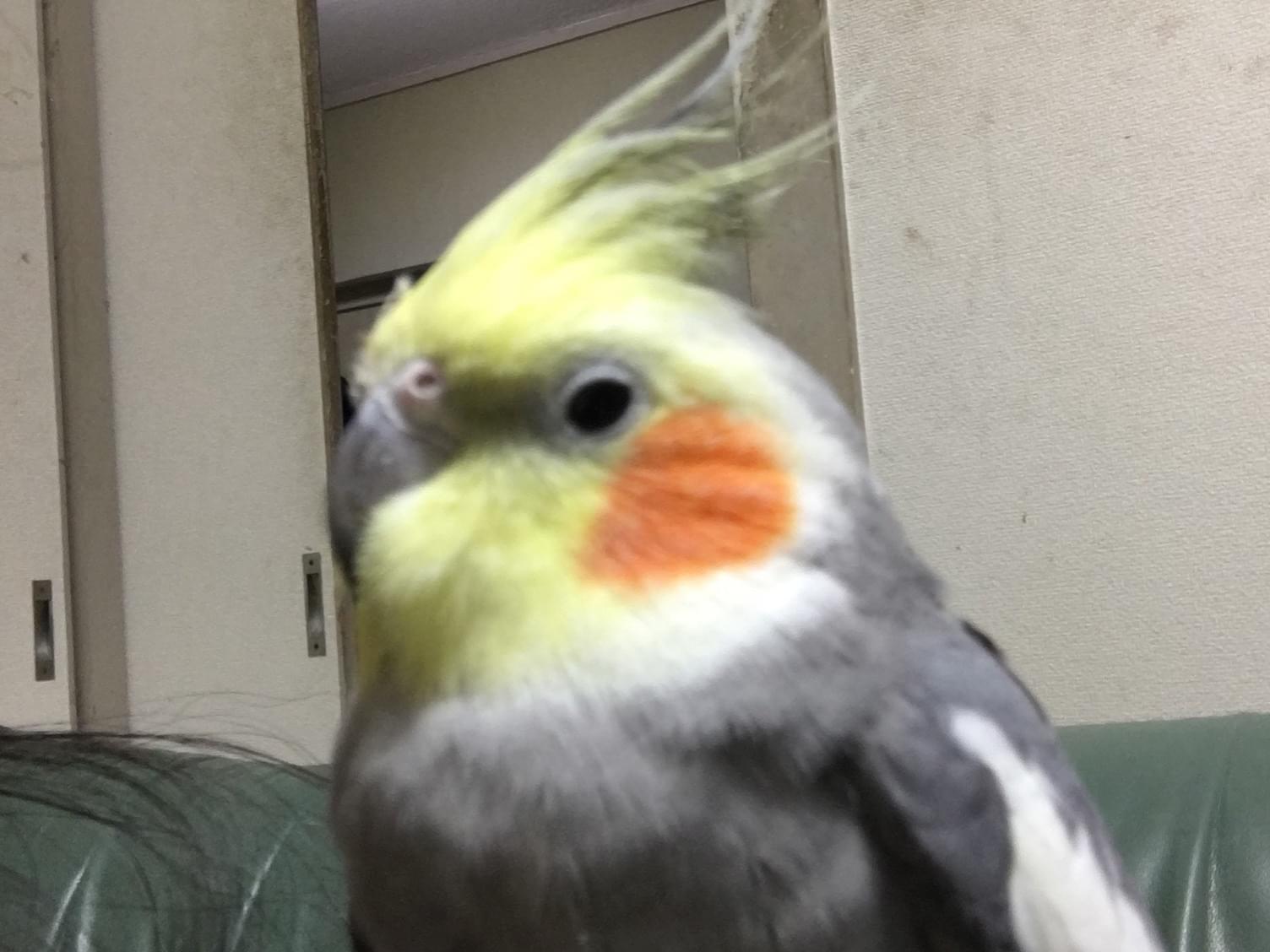 大ちゃん 大ちゃん