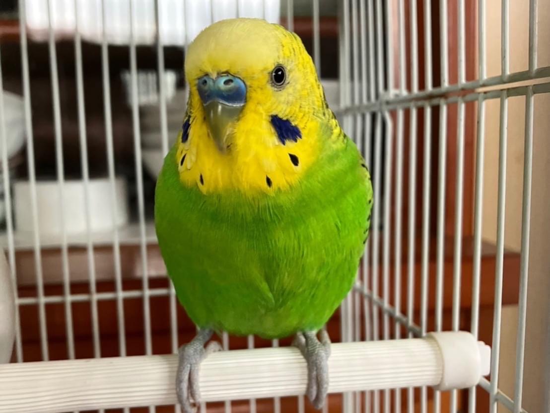 むっちゃん むっちゃん