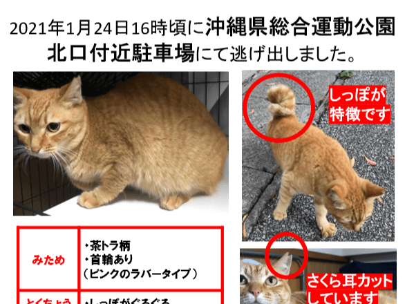 どちびちゃん どちびちゃん