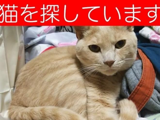 かえでちゃん かえでちゃん