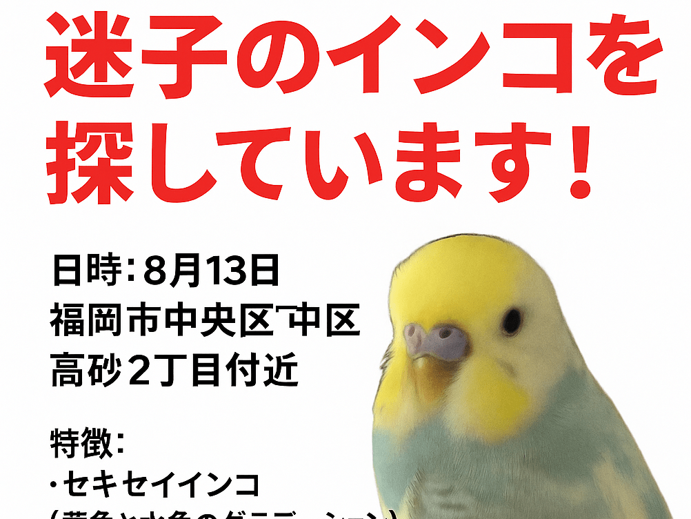 あきちゃん あきちゃん