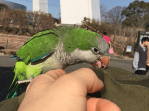 ^ - ^小多ちゃん ^ - ^小多ちゃん