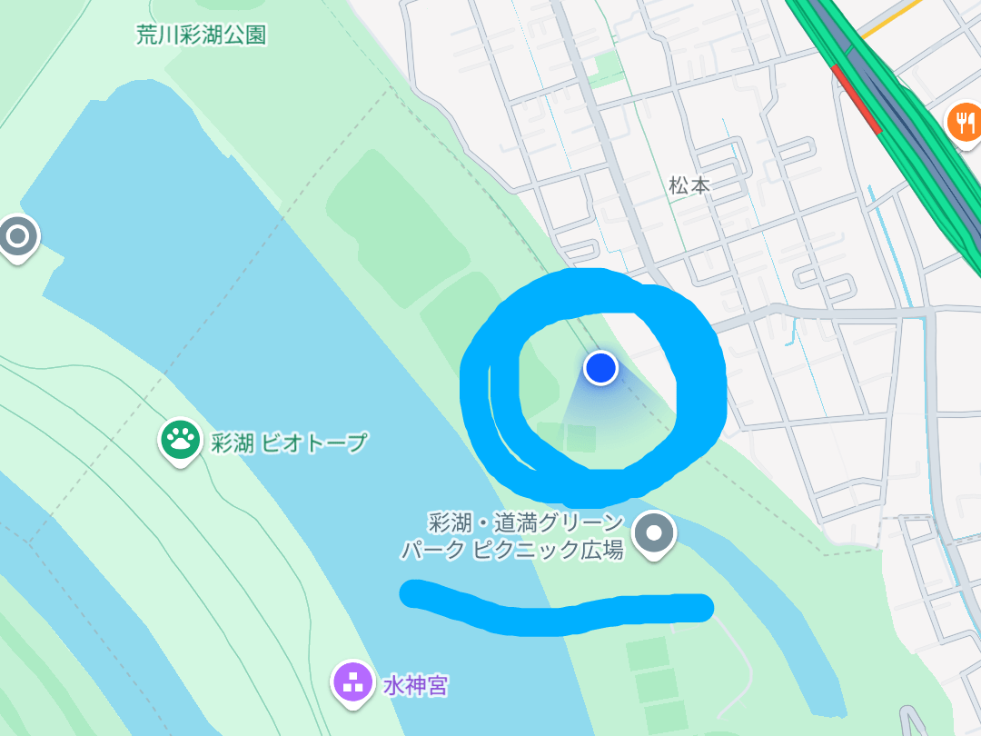 目撃された鳥 目撃された鳥
