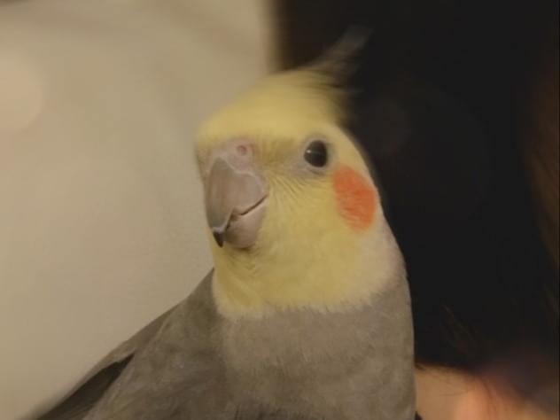 モコちゃん モコちゃん
