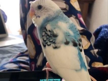 ソラちゃん ソラちゃん
