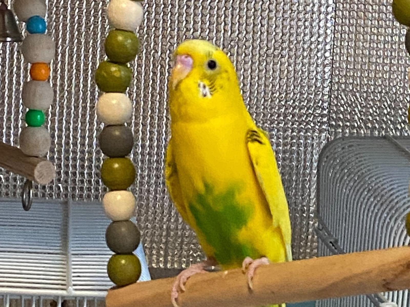 きーちゃん きーちゃん