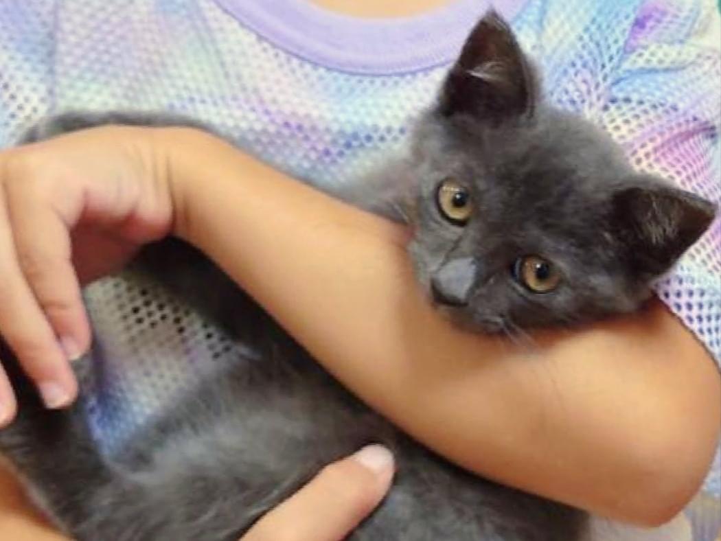 ティアモちゃん