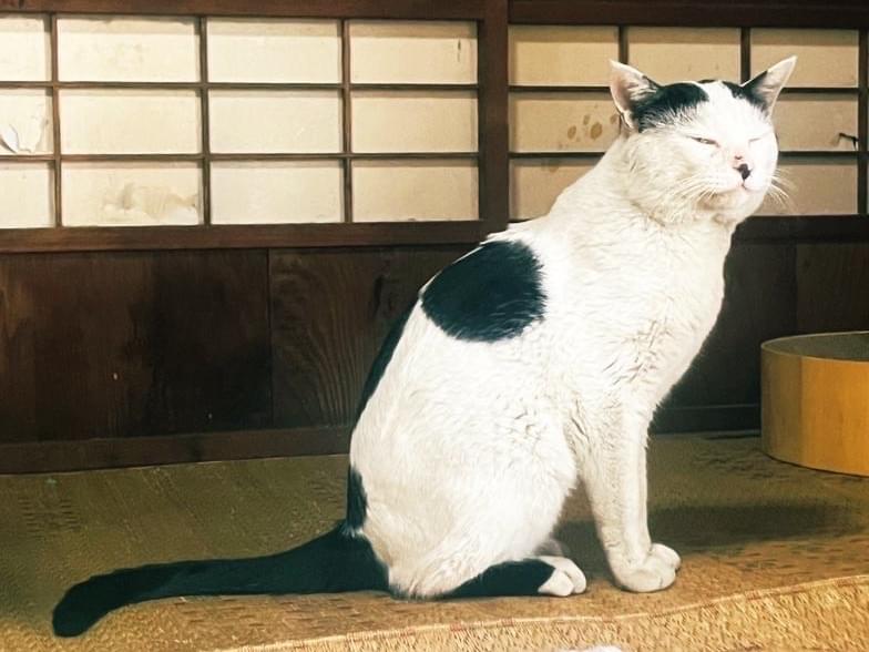 福ちゃん 福ちゃん