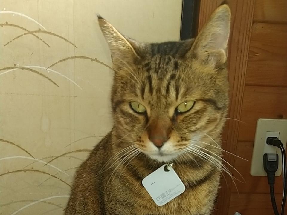 ミルクちゃん ミルクちゃん