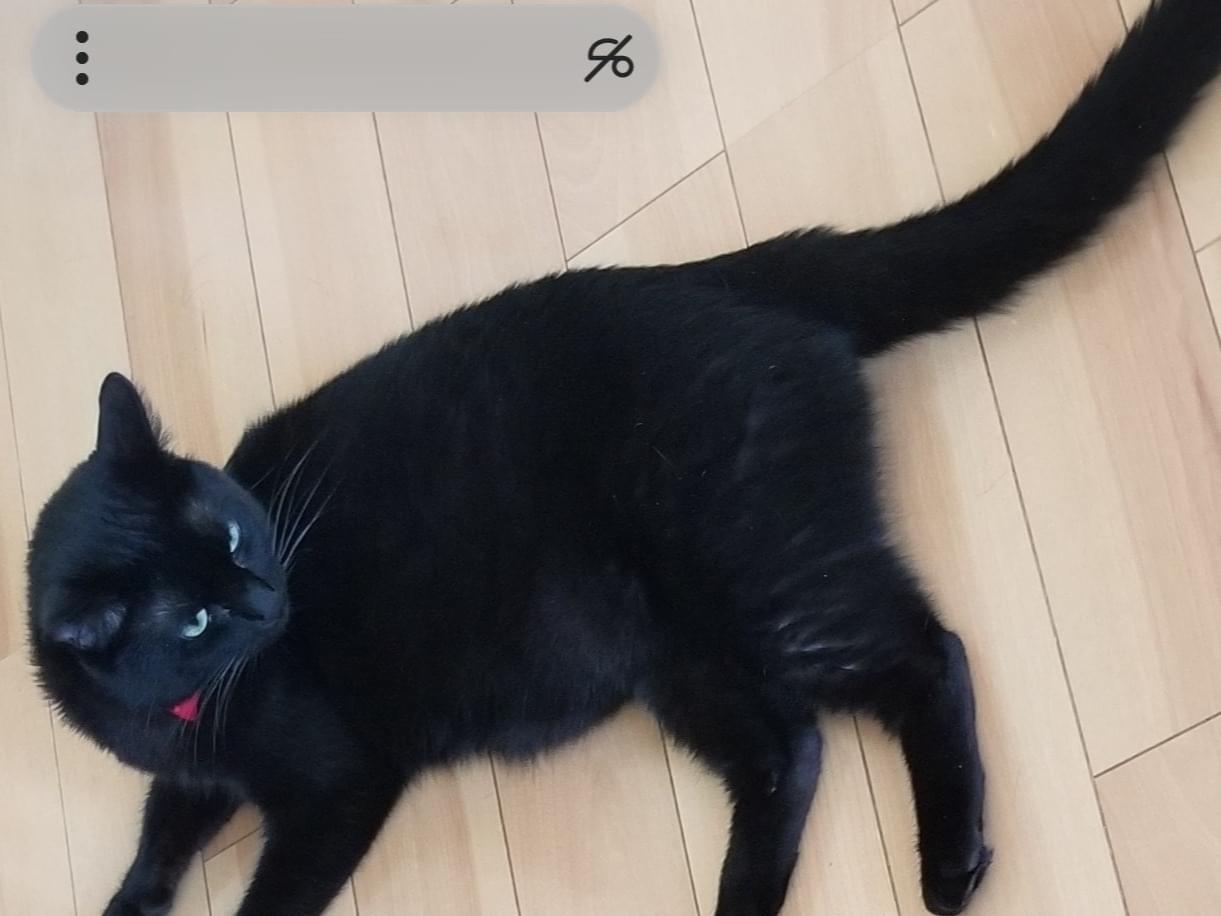 あずきちゃん あずきちゃん