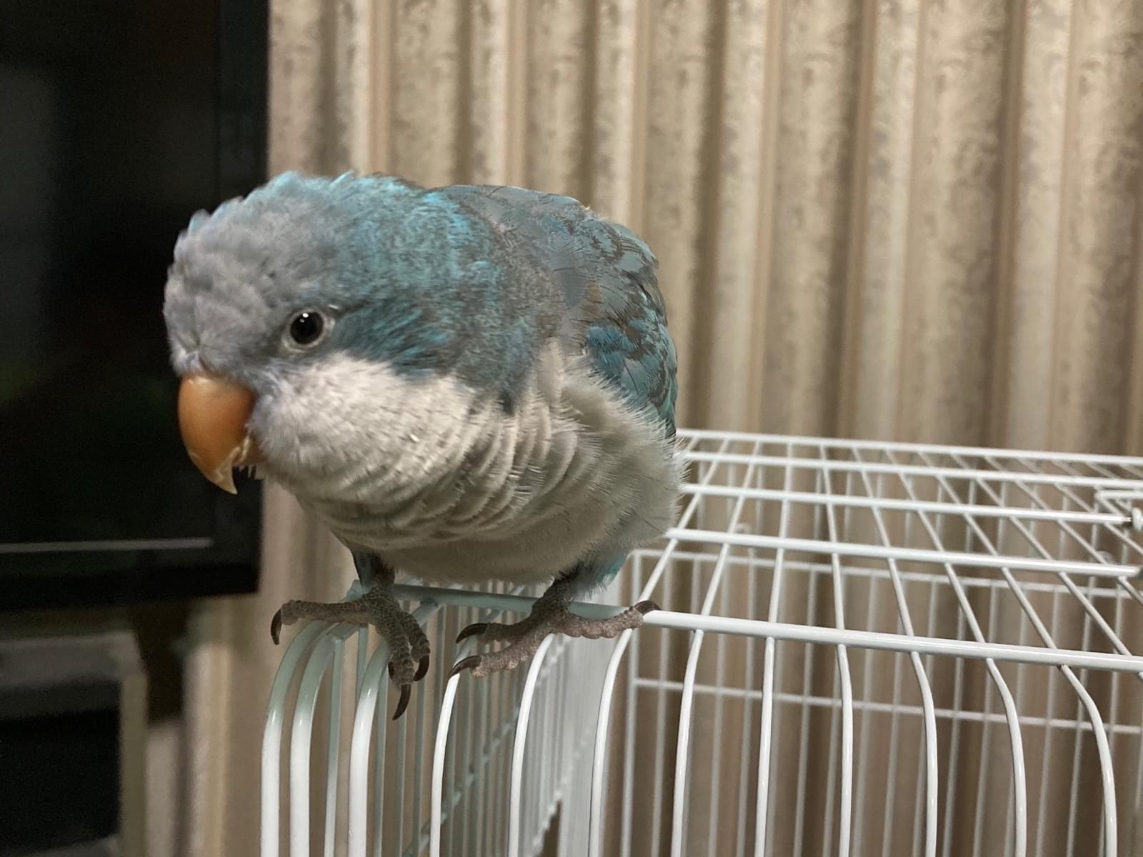 オキちゃん オキちゃん