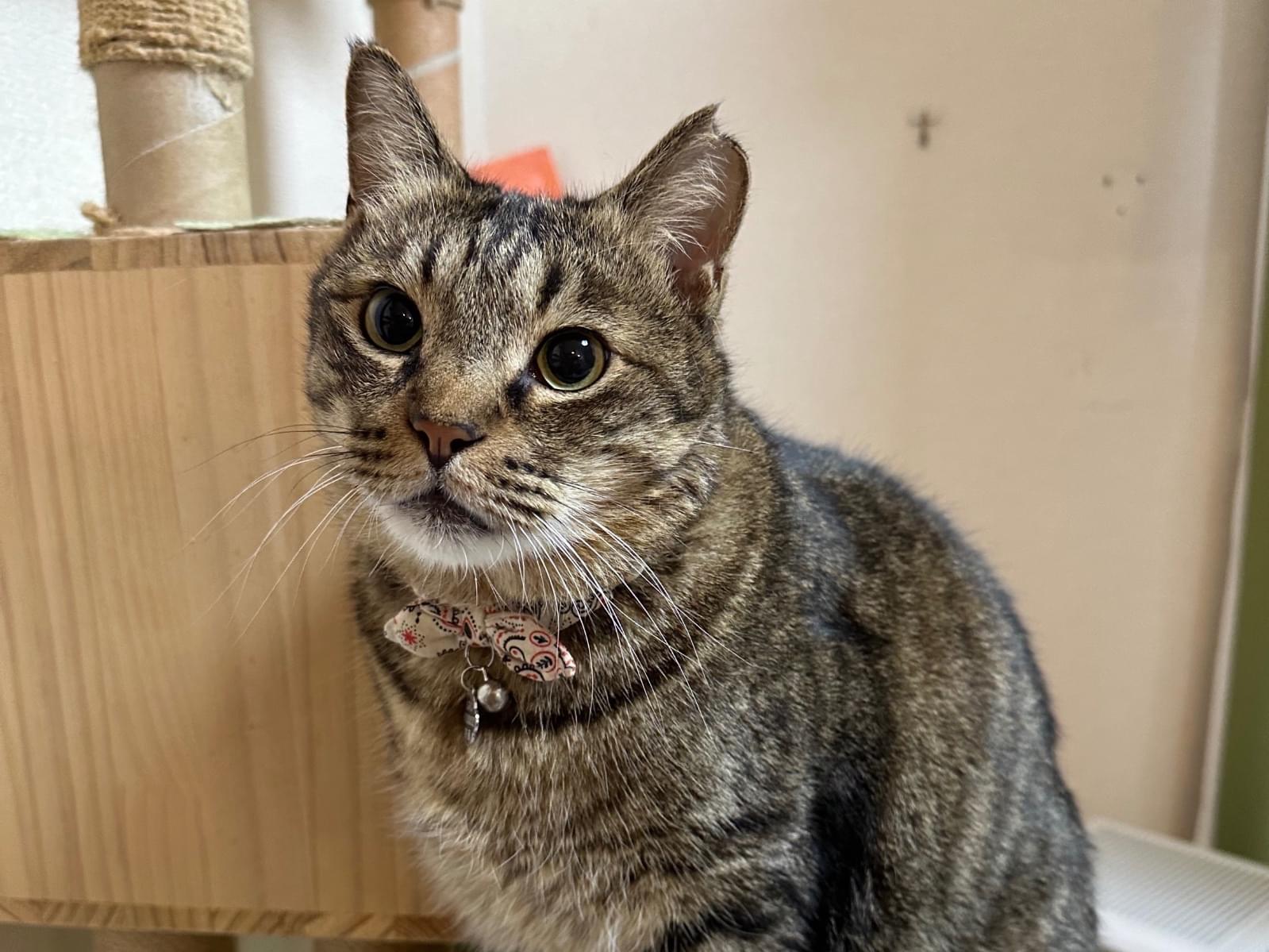 もみじちゃん もみじちゃん