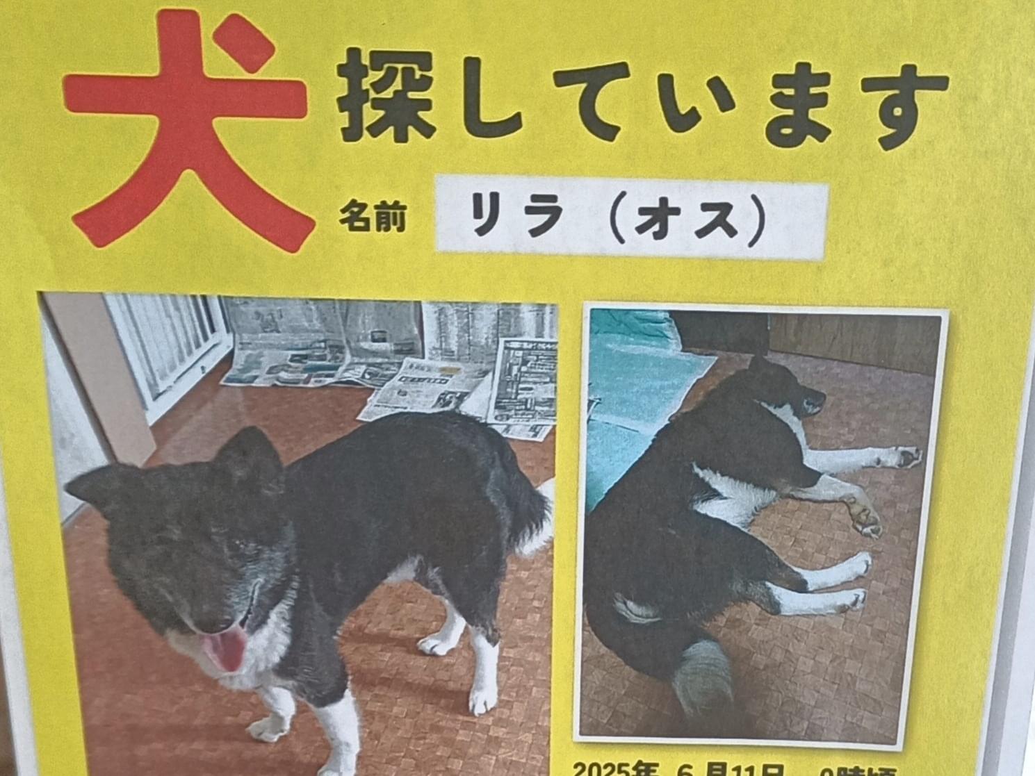 リラちゃん リラちゃん
