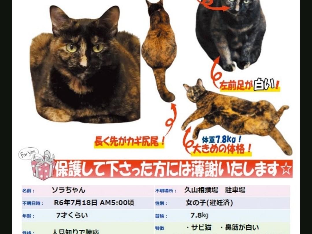 ソラちゃん ソラちゃん