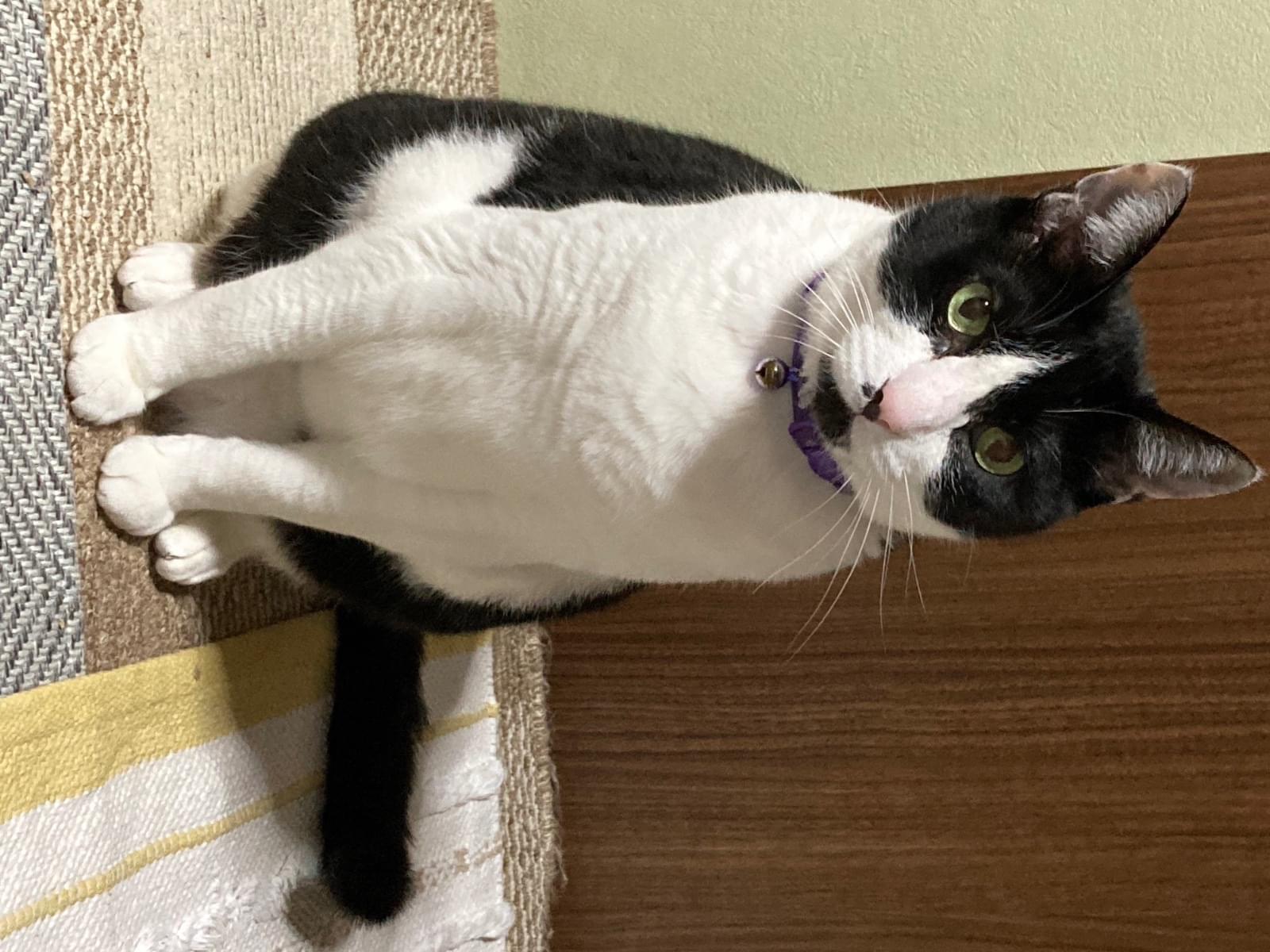 ラックちゃん ラックちゃん