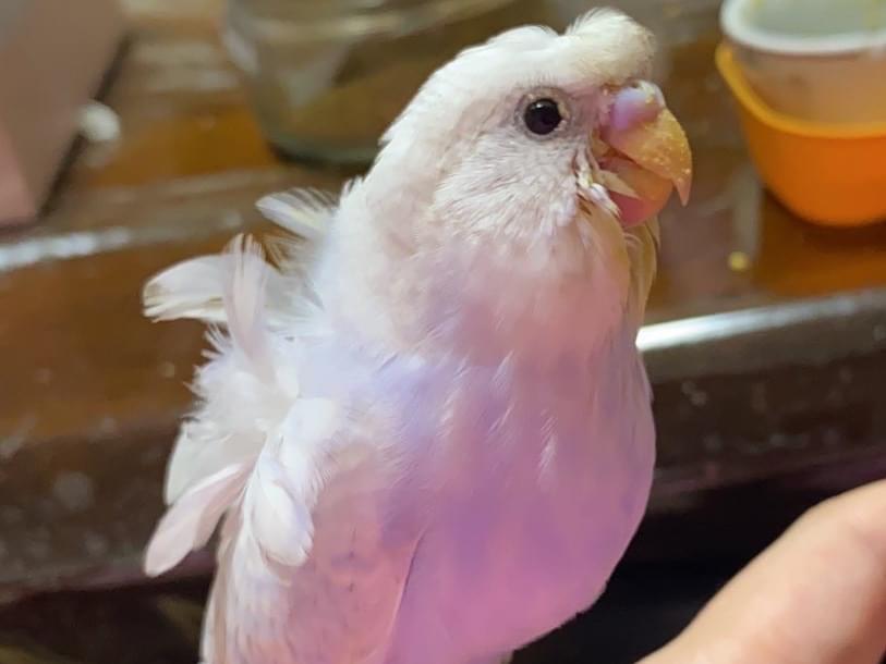 ゆせちゃん ゆせちゃん