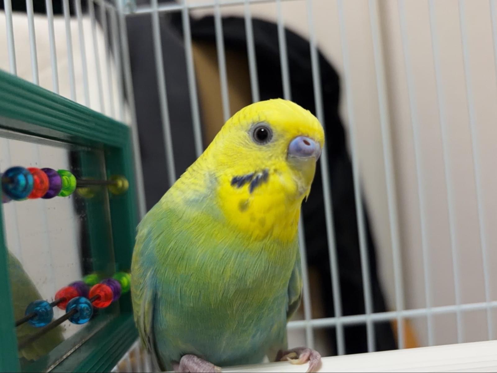フユちゃん フユちゃん