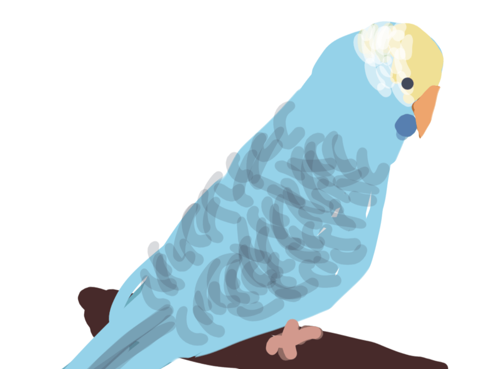 目撃された鳥 目撃された鳥