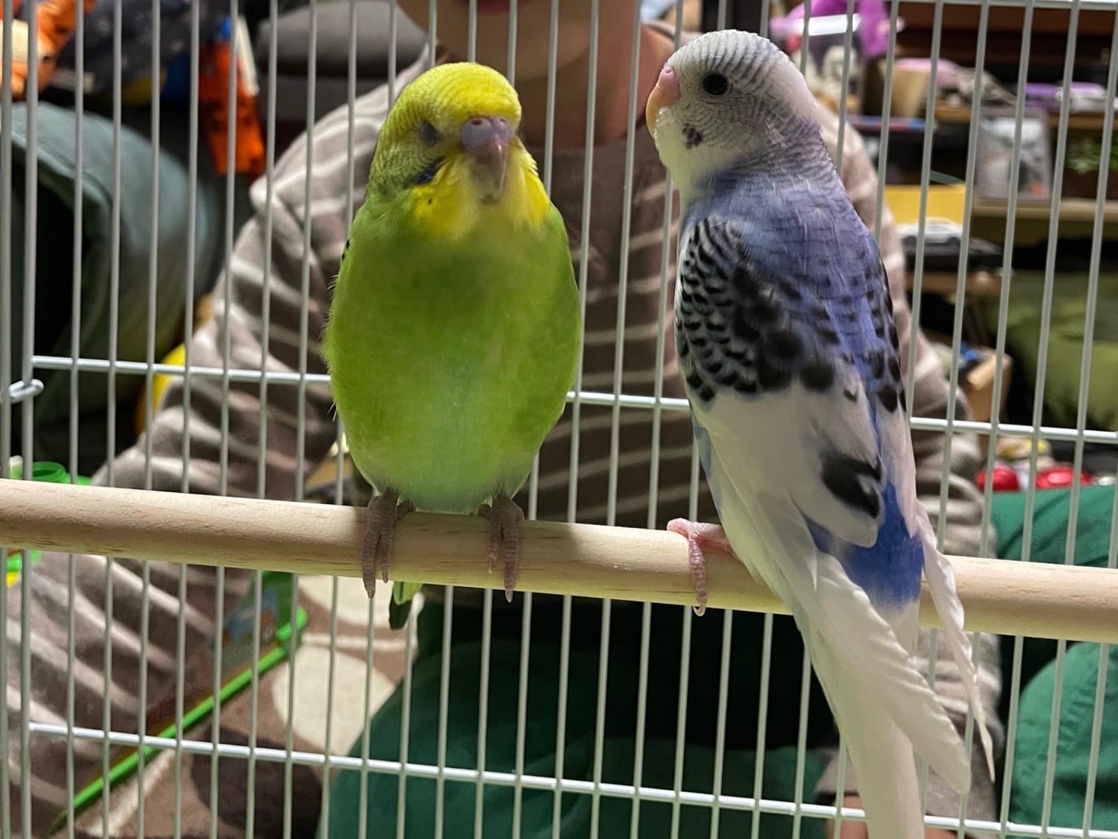 そらちゃん そらちゃん