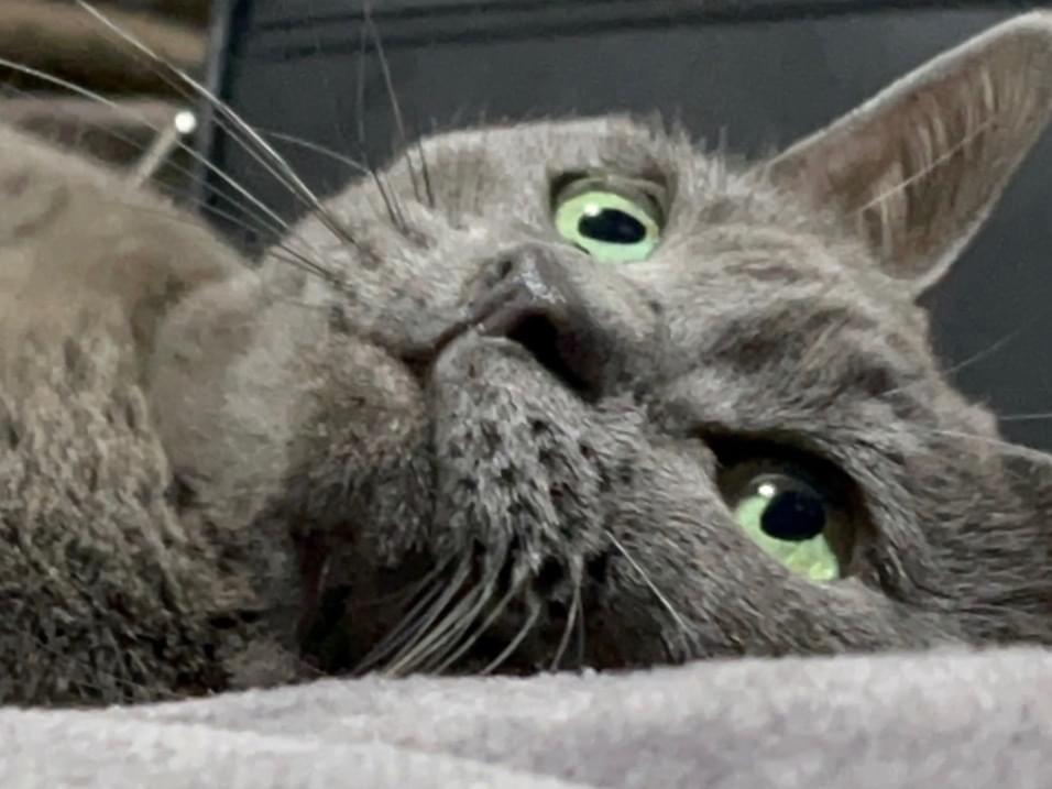 るなちゃん るなちゃん