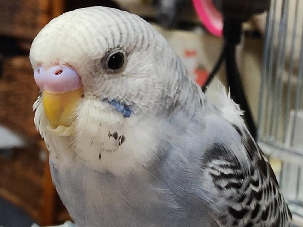 れいちゃん れいちゃん
