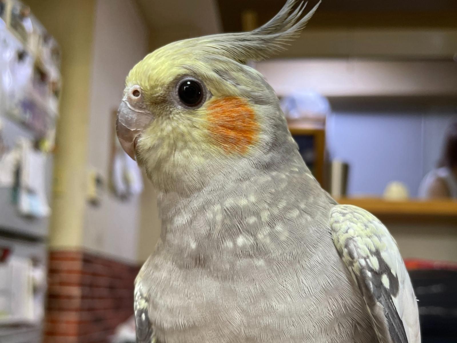くみちゃん くみちゃん