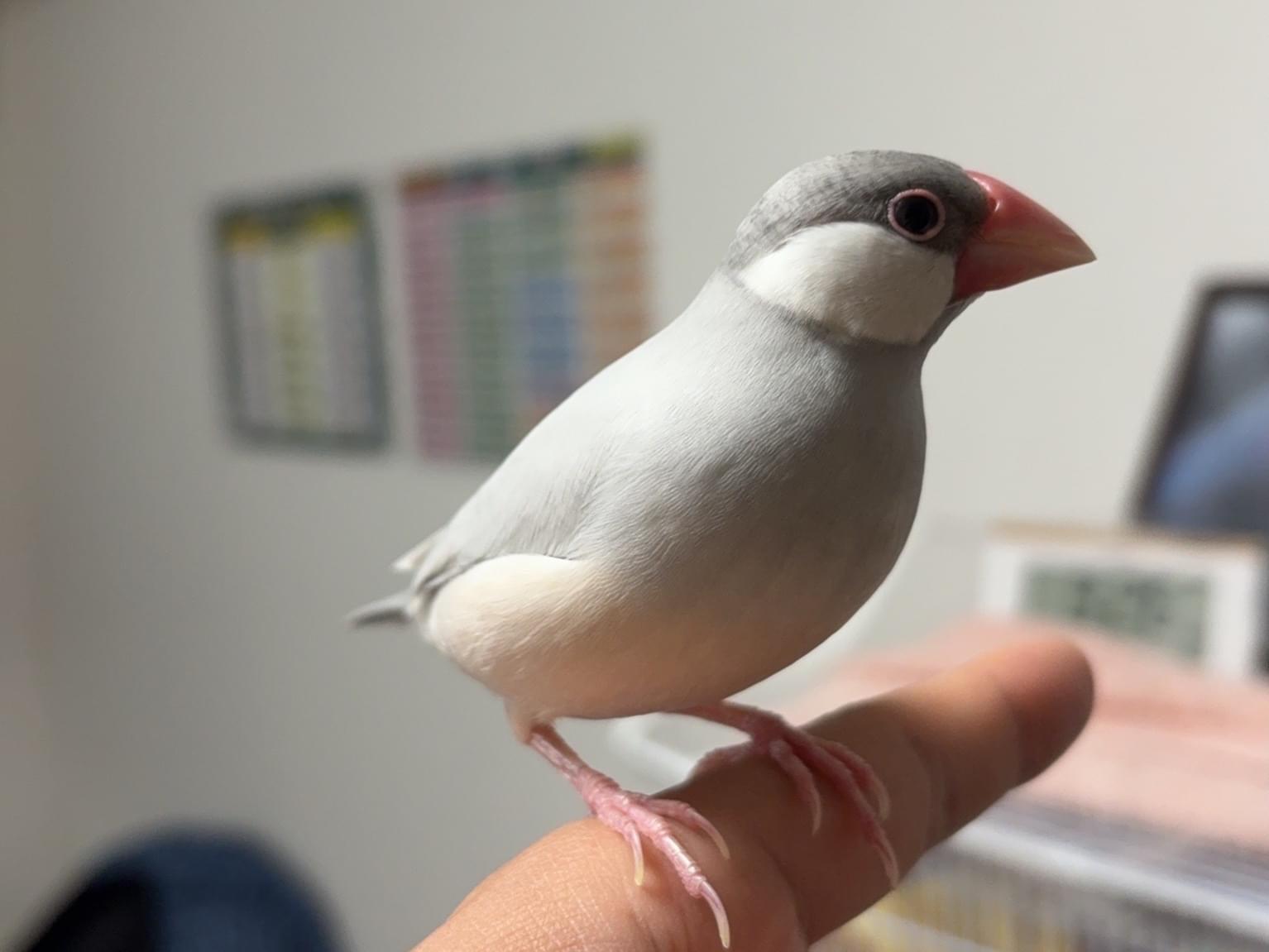 むちちゃん