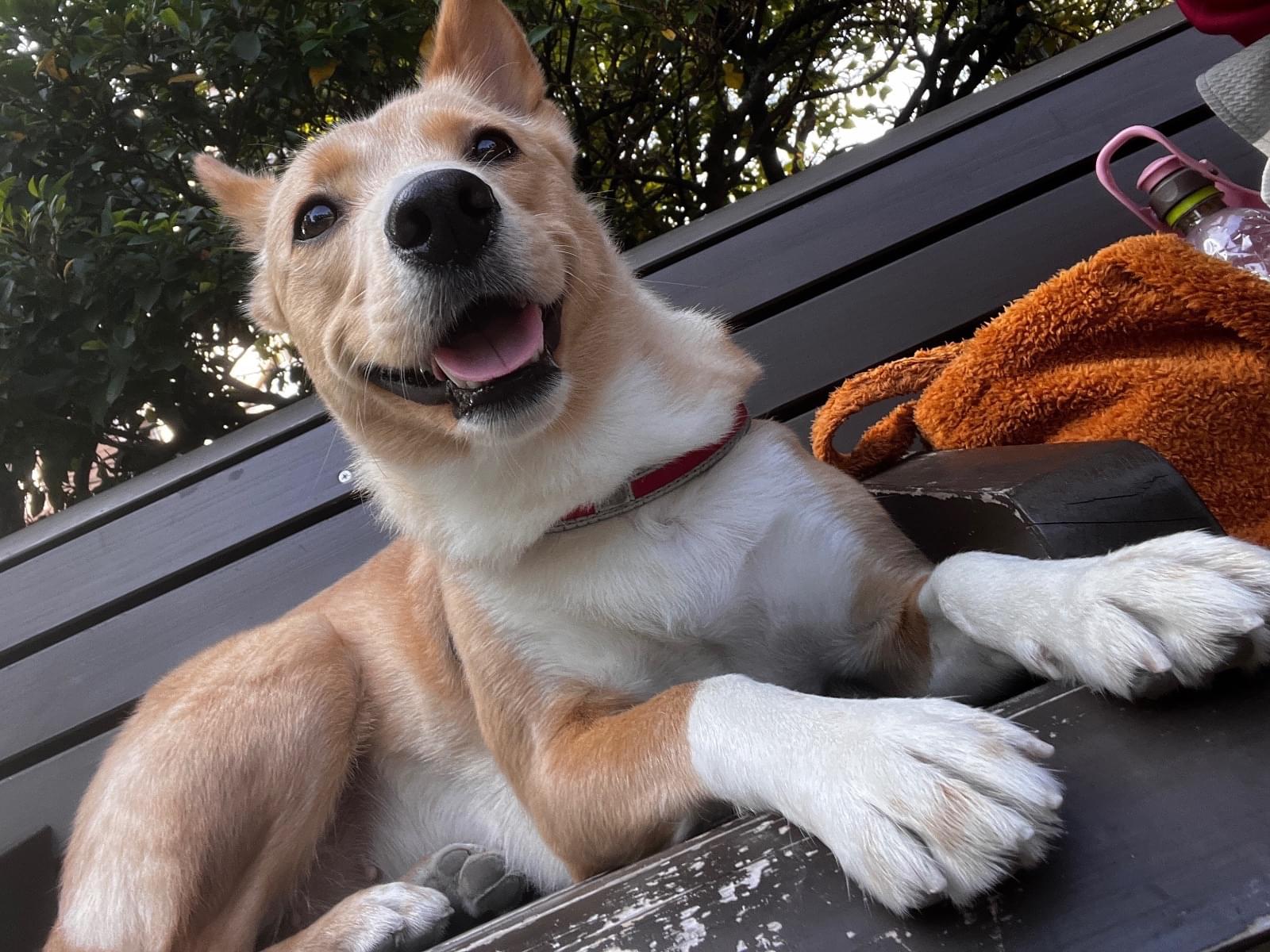 めいちゃん めいちゃん