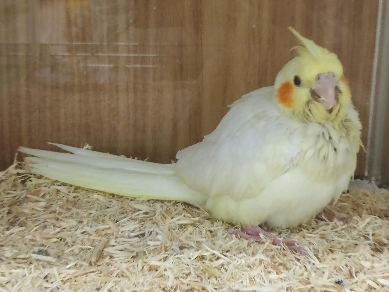 えりちゃん えりちゃん