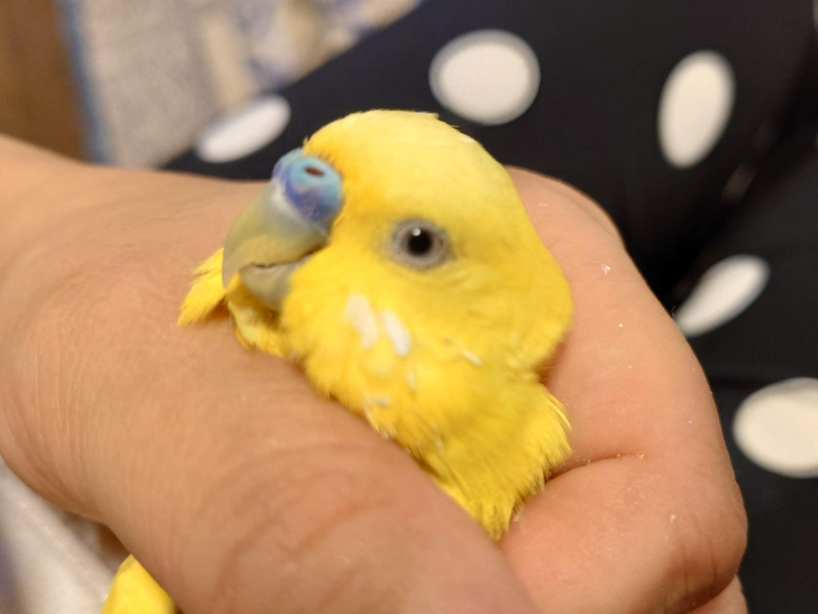 すずちゃん すずちゃん
