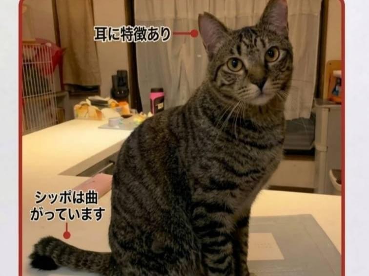 福ちゃん 福ちゃん