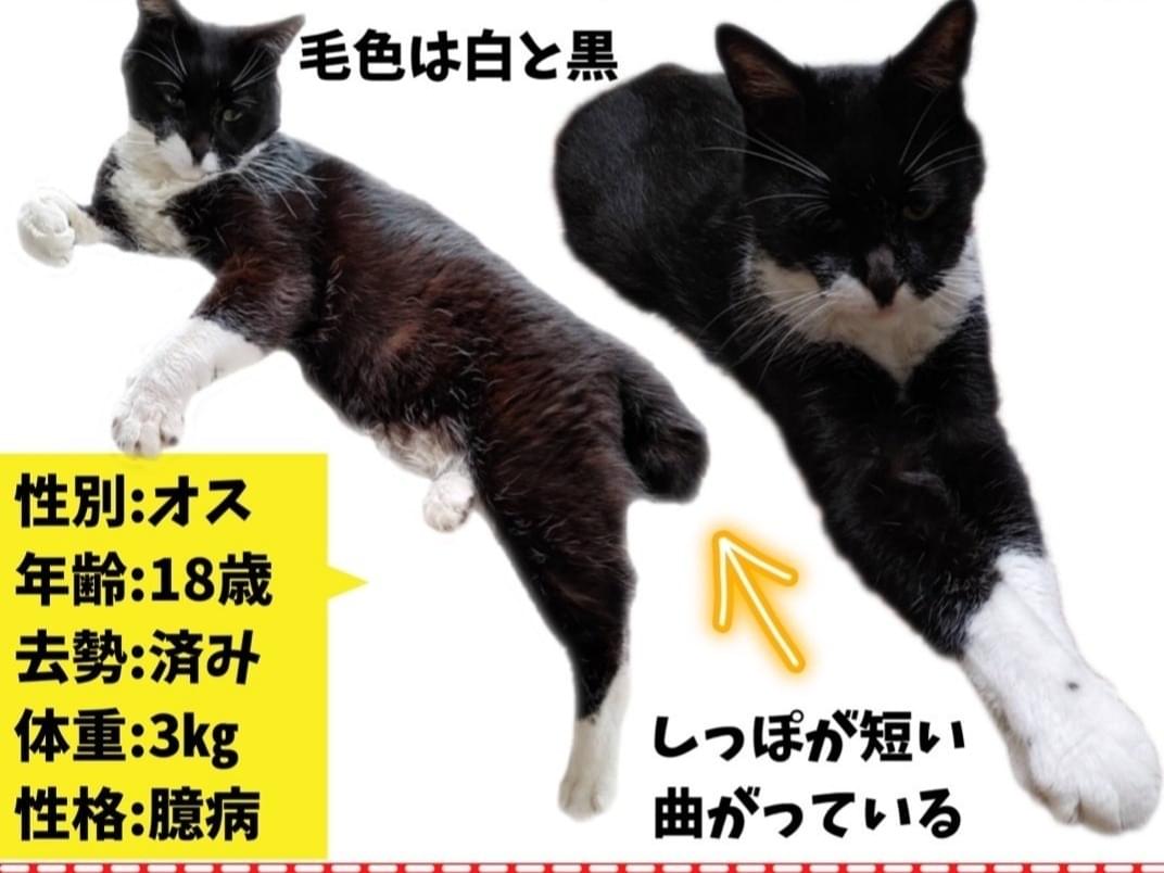 クンちゃん クンちゃん