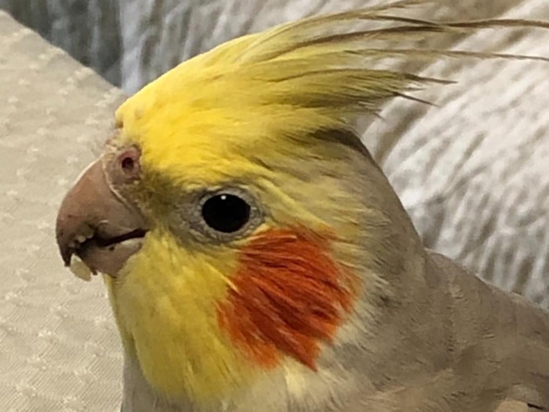 れいちゃん れいちゃん