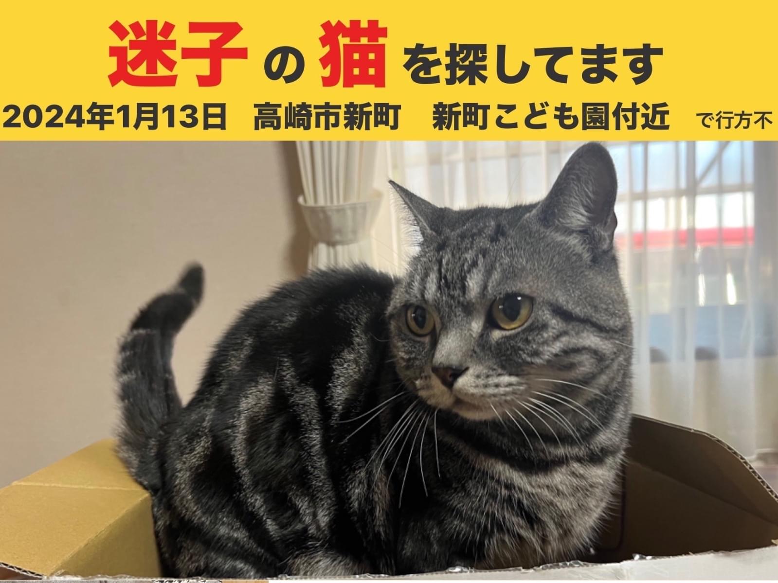 ごまおちゃん ごまおちゃん