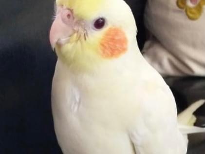 ゆきちゃん ゆきちゃん