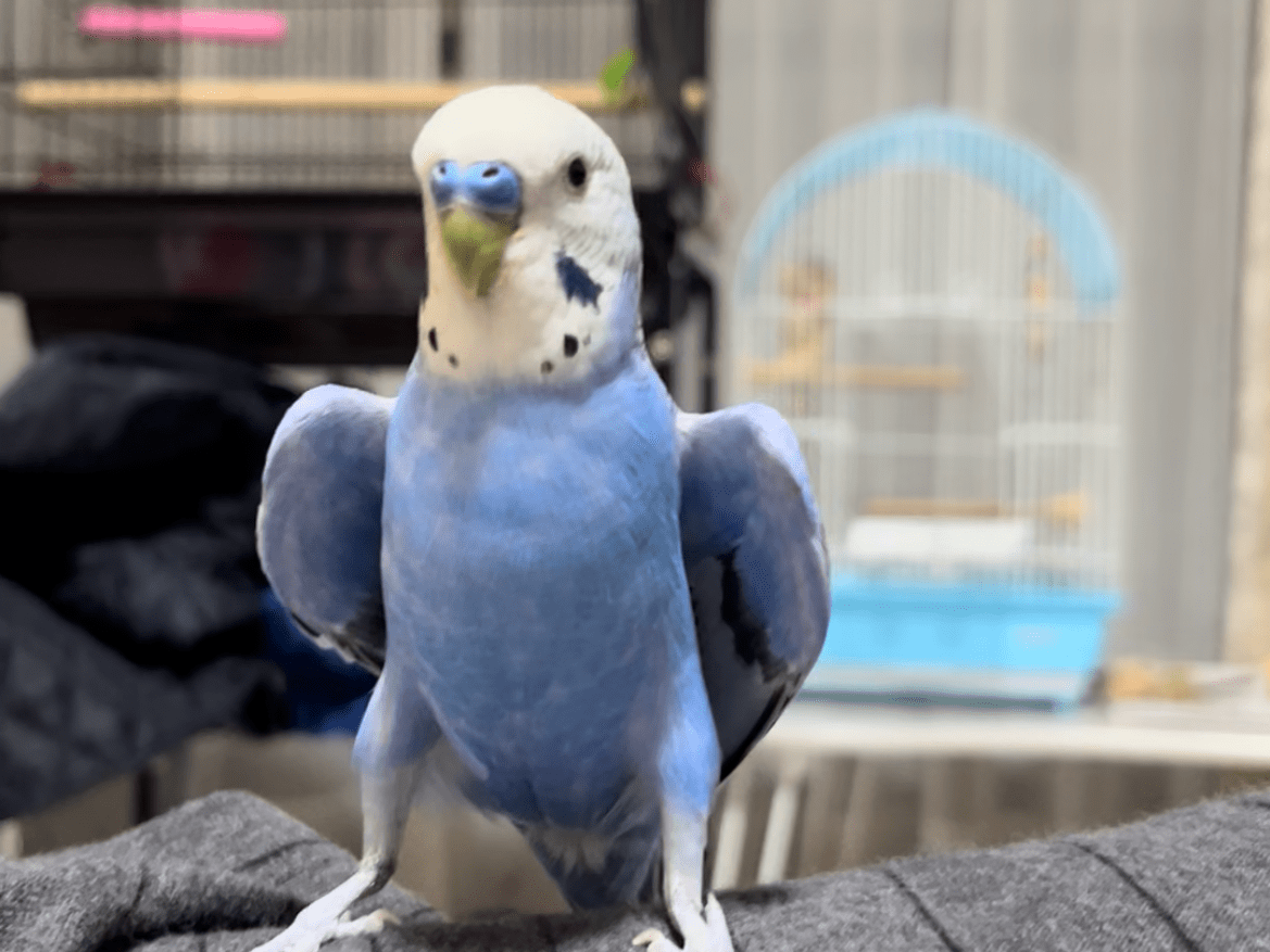 つっちゃん つっちゃん