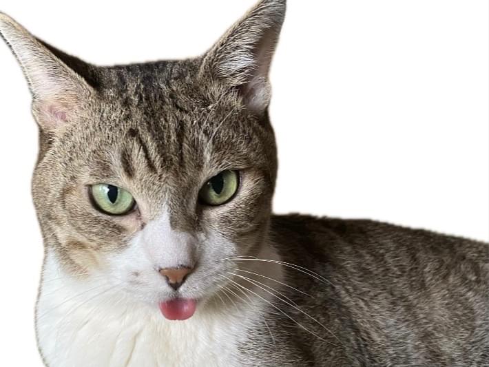 レオちゃん レオちゃん