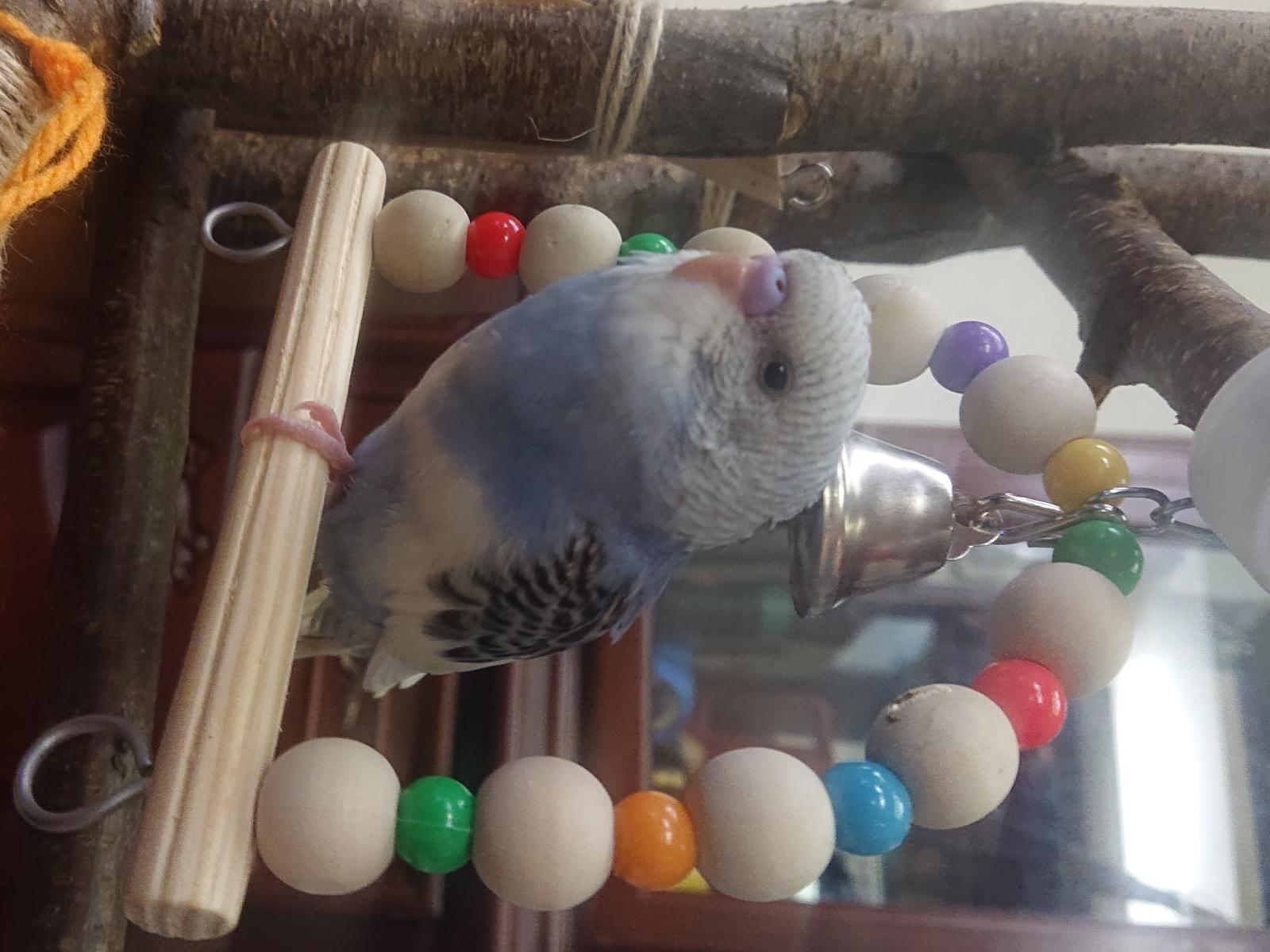 ラムネちゃん ラムネちゃん
