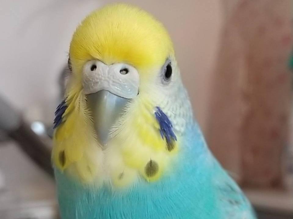 まりんちゃん まりんちゃん