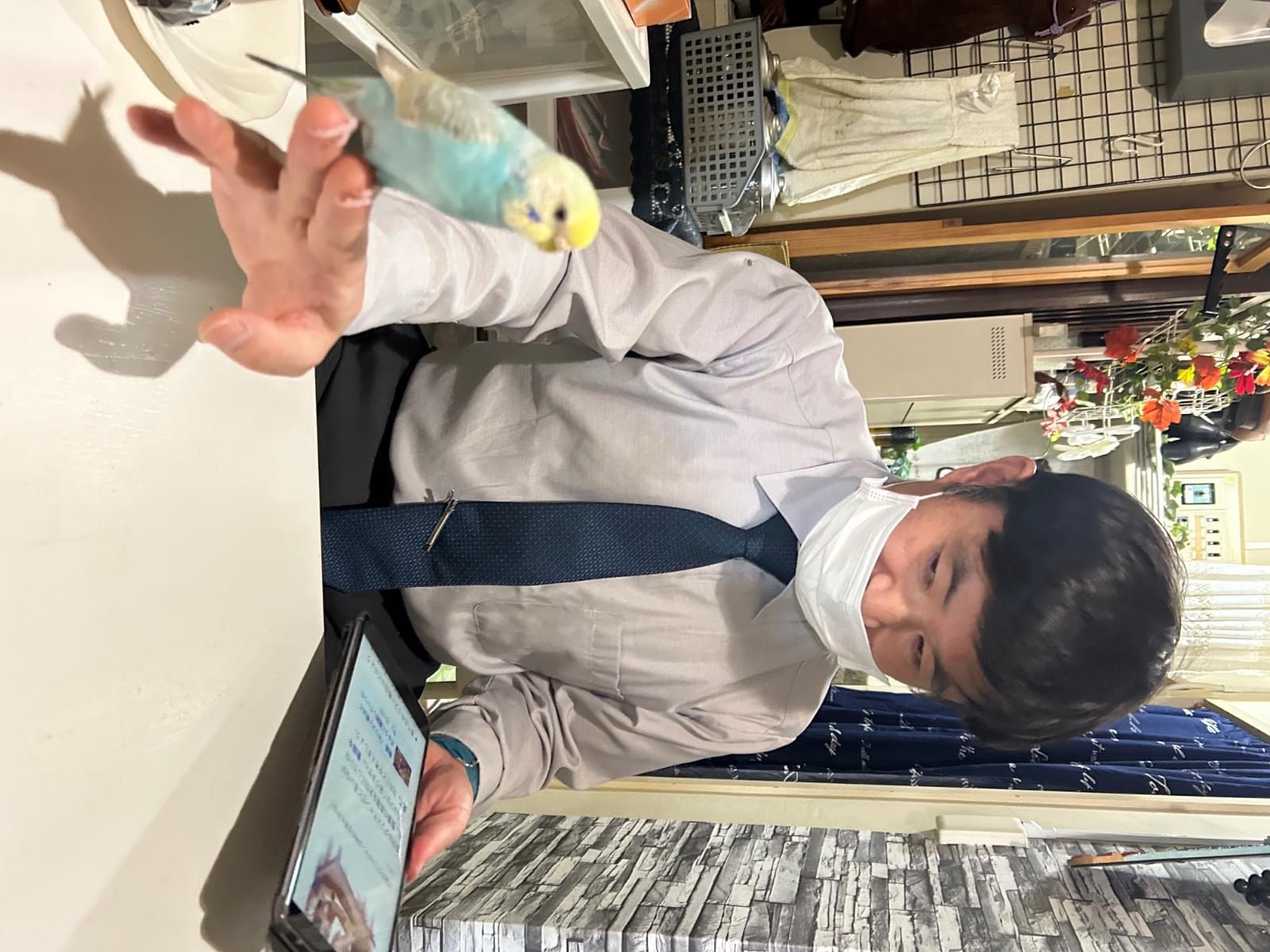 ルルちゃん ルルちゃん