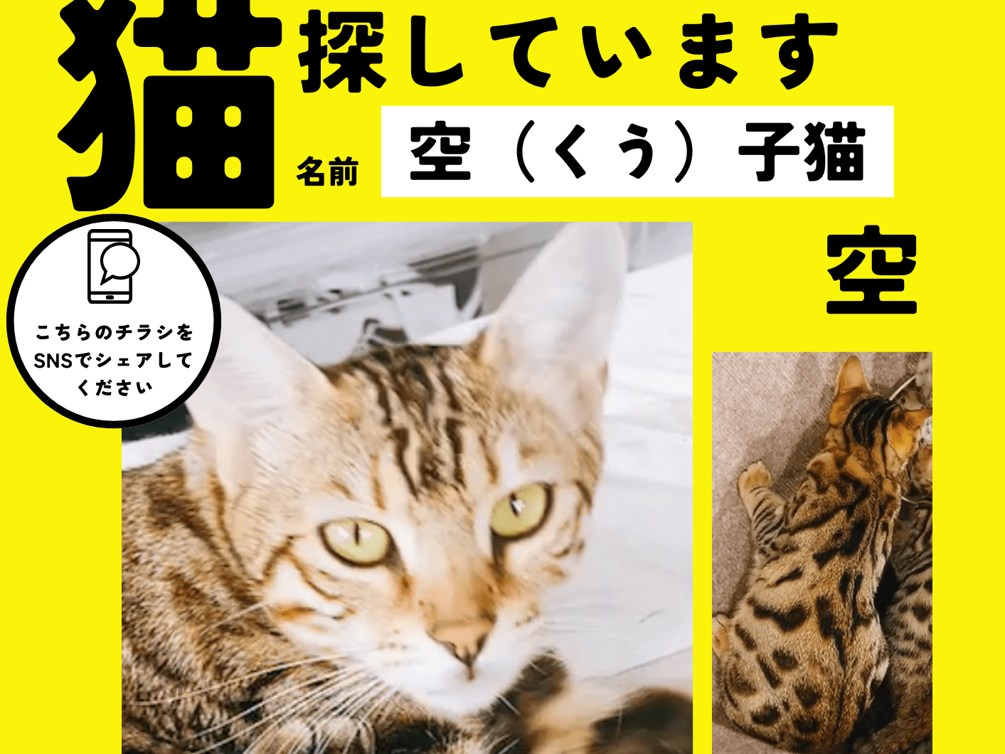 空ちゃん 空ちゃん