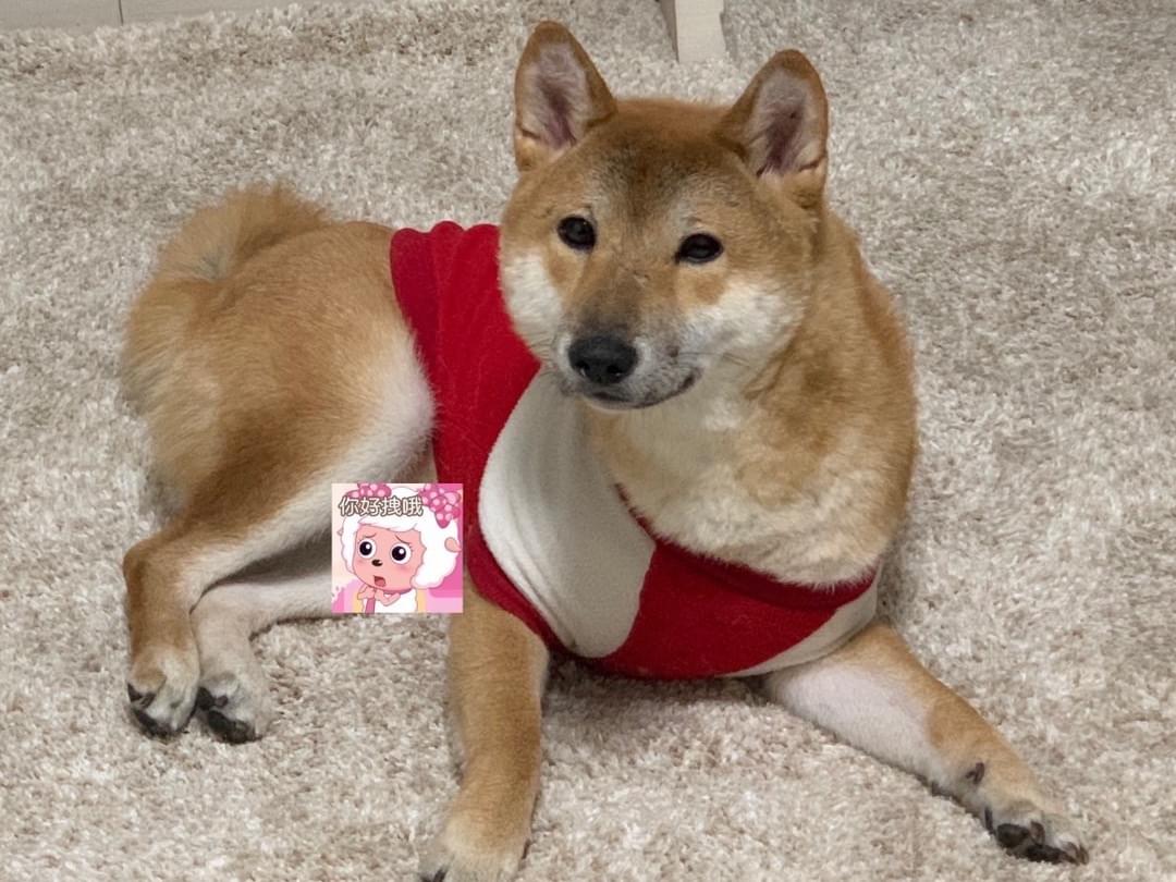 坊ちゃん 坊ちゃん