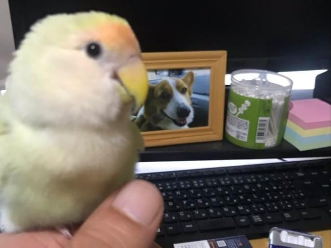 マリちゃん マリちゃん